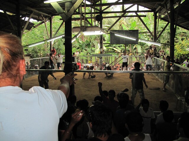 Coqpit Arena Panglao (12)